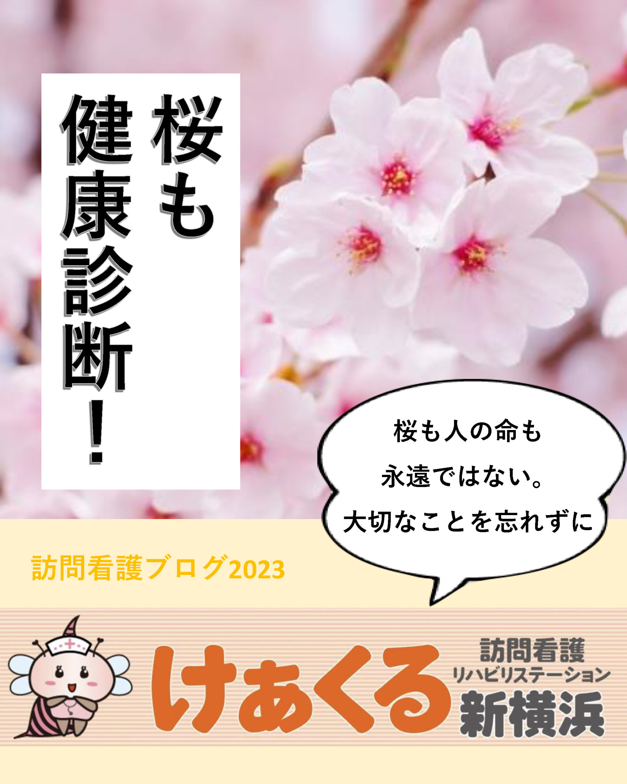 桜も健康診断！？人と桜の共通点とは