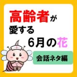 高齢者が愛する、6月の鮮やかな花々