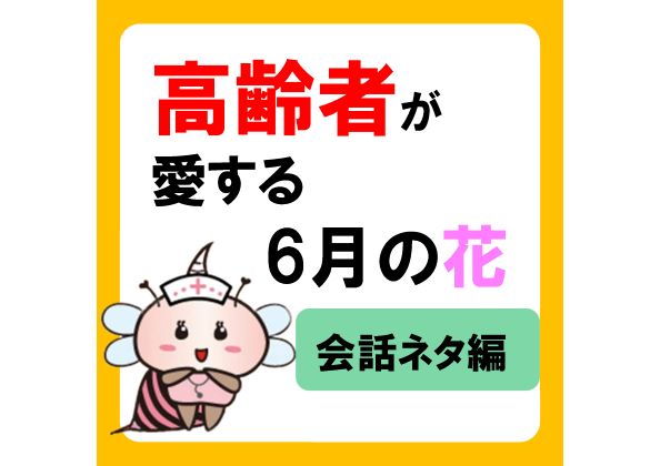 高齢者が愛する、6月の鮮やかな花々